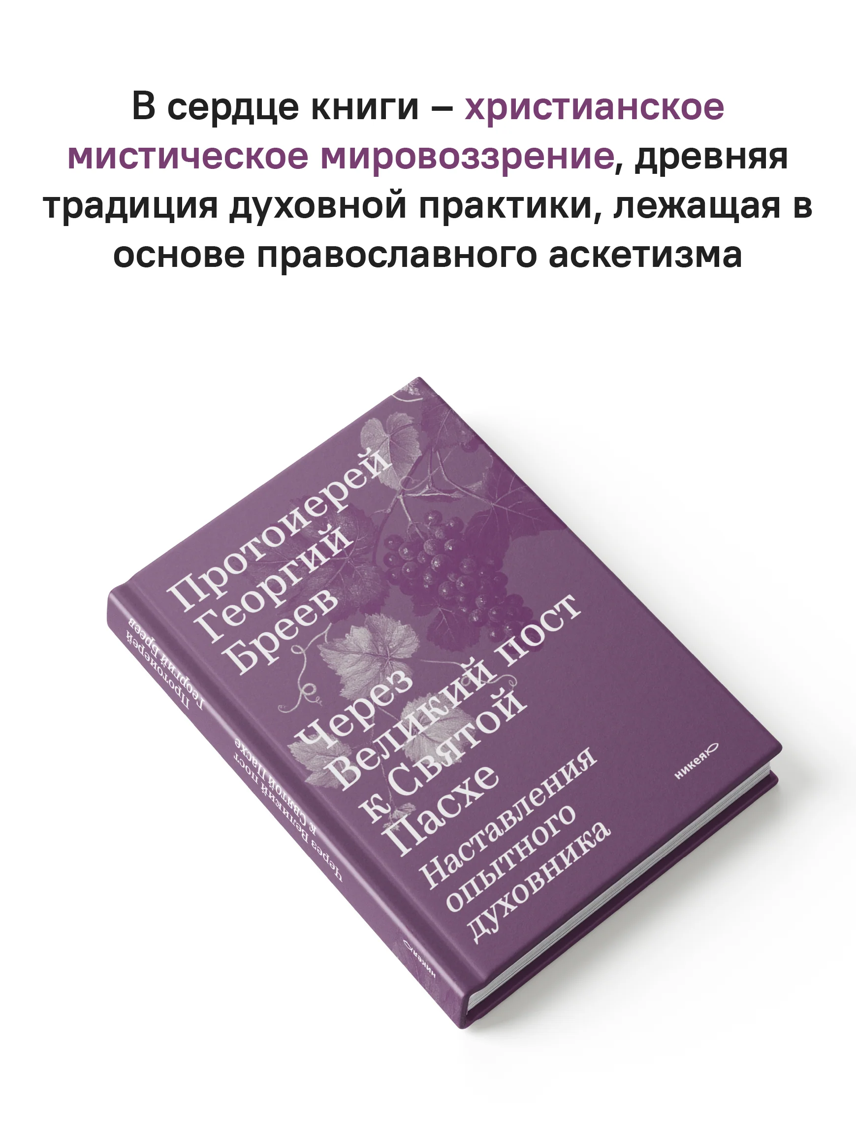 Через Великий пост к Святой Пасхе. Наставления опытного духовника - Image 9