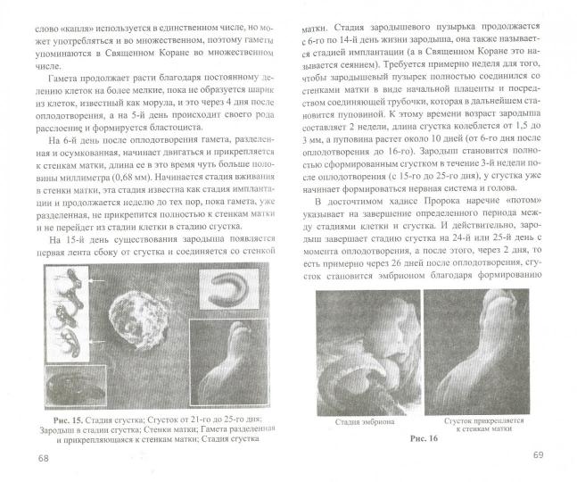 Хадисы о сотворении человека. Чудеса науки в Сунне Пророка - Image 4