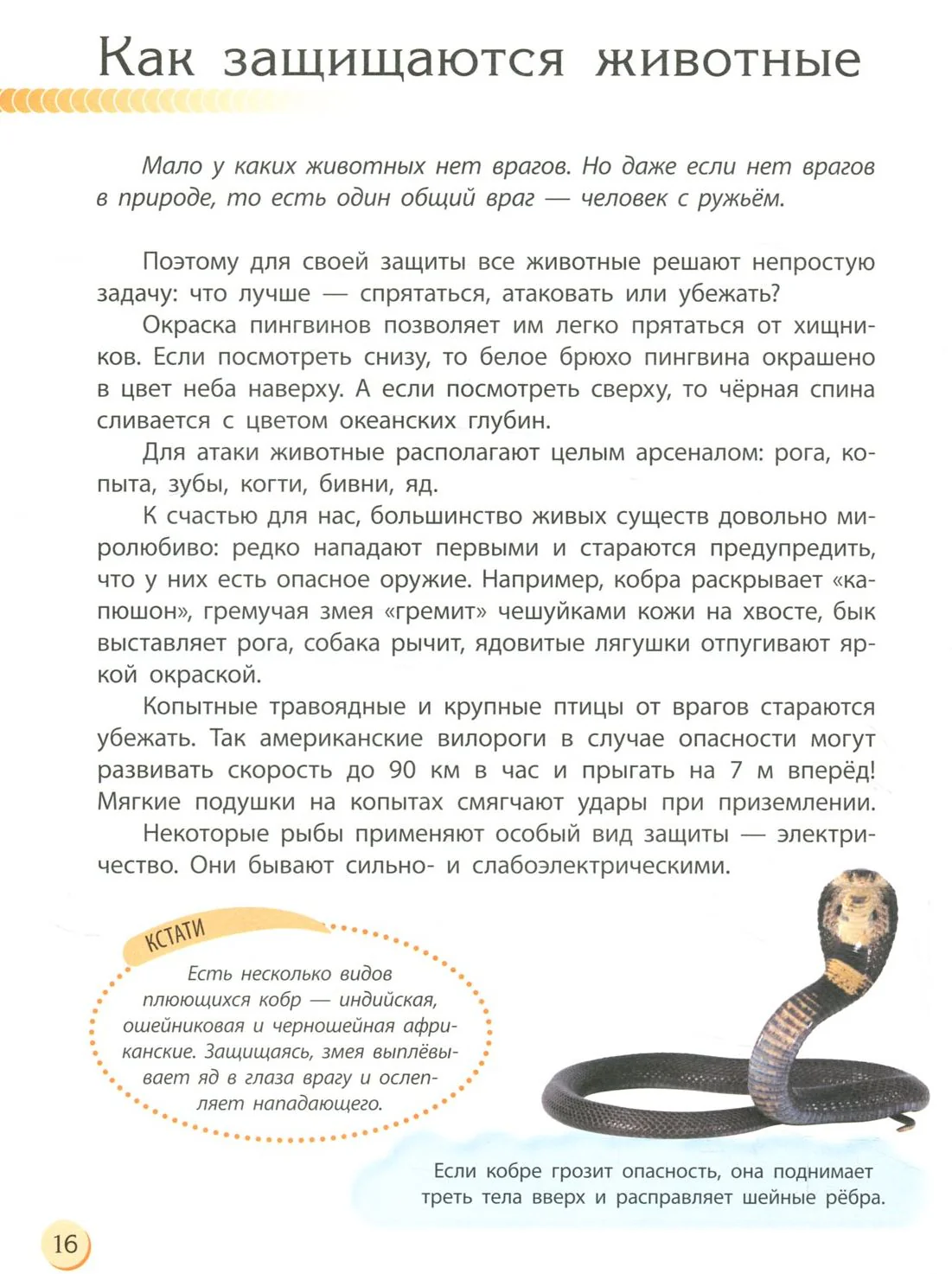 Пізнаємо та досліджуємо: Животный мир (р) - Image 11