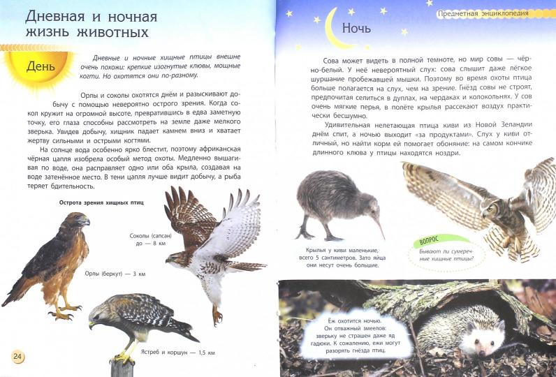 Пізнаємо та досліджуємо: Животный мир (р) - Image 15