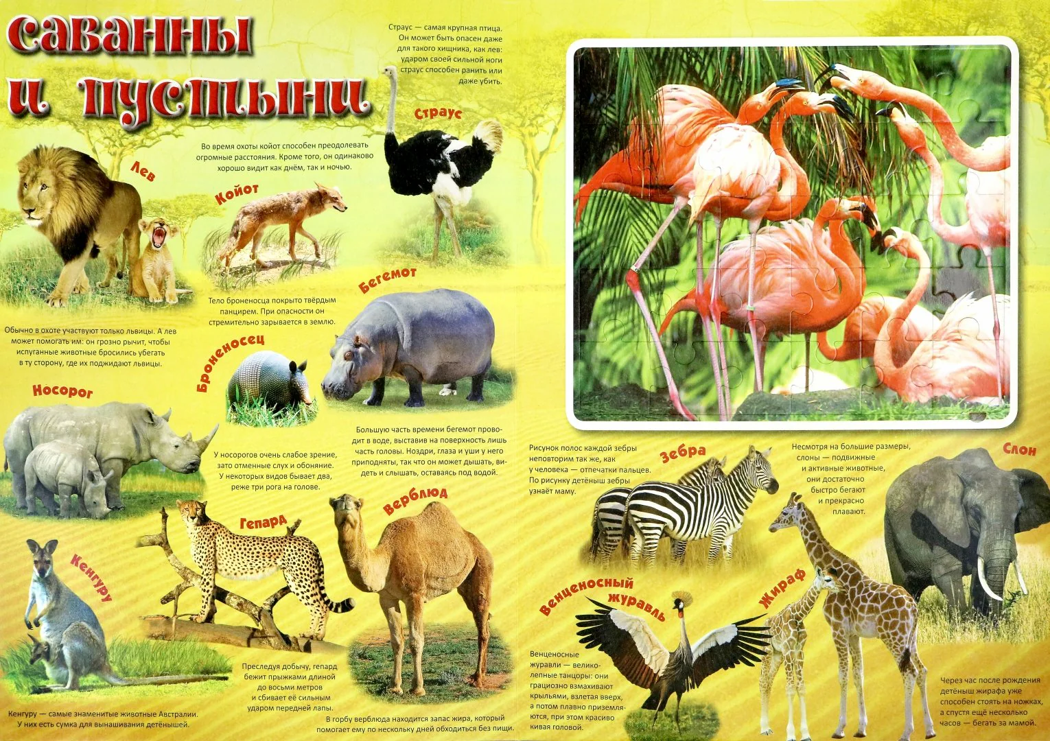 Первые книги малыша. Развитие ребенка - Image 3