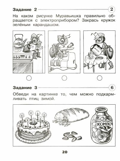 Окружающий мир. Проверочные работы. 1 класс - Image 2