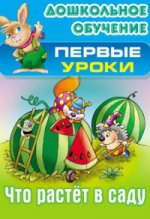 Дошкольное обучение. ПЕРВЫЕ УРОКИ