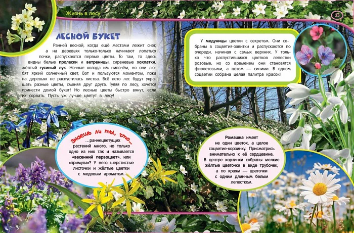 Практический курс рисования - Image 4