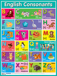 Английские согласные звуки = English Consonants