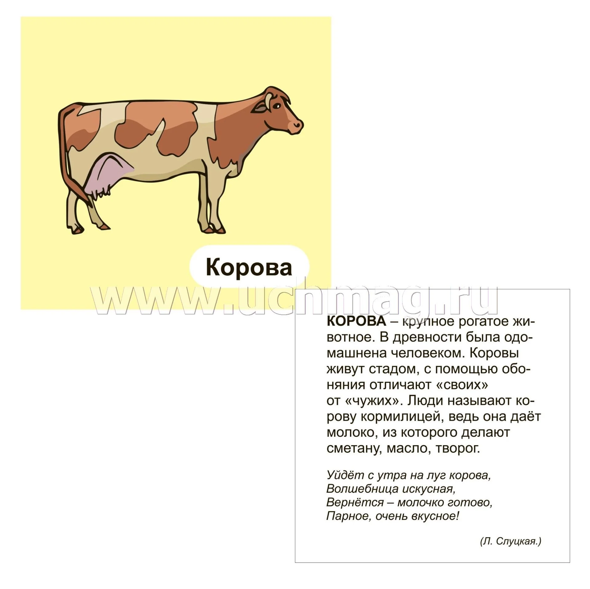 ФГОС ДО Домашние животные. 12 развивающих карточек с красочными картинками, стихами и загадками для занятий с детьми. (Размер 93х99, картон мелованный пл 295) - Image 2