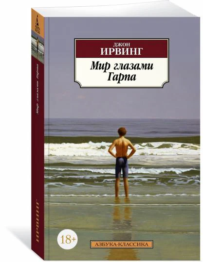 Мир глазами Гарпа - Image 4