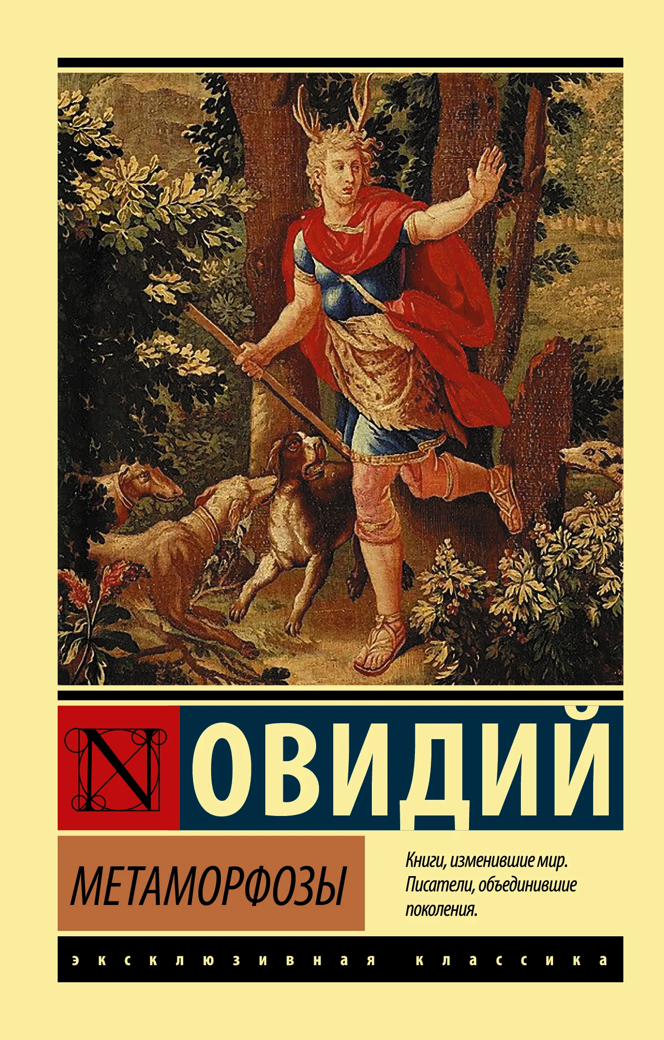 Пятая Салли