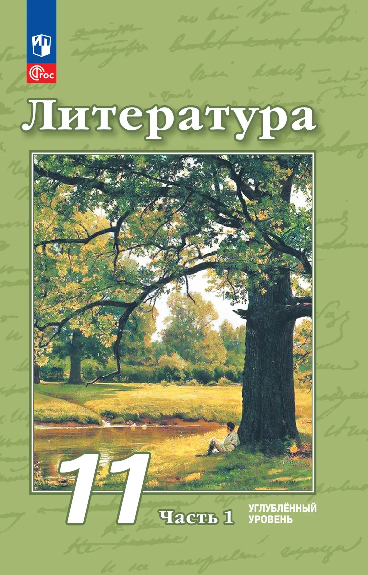 Литература 11кл ч1 Учебное пособ. Углубл. уров.