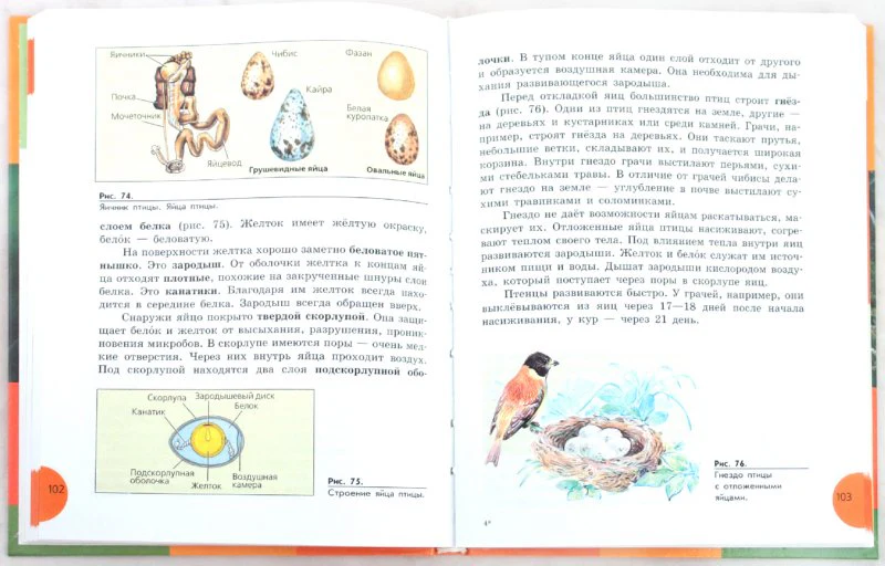 Биология 8кл Животные Учебник (интелл. наруш.) - Image 2