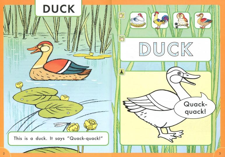 Arthur Frost Что говорят птицы? / What do birds say? Пособие для детей 3–5 лет. QR-код для аудио. Английский язык(Титул) - Image 2