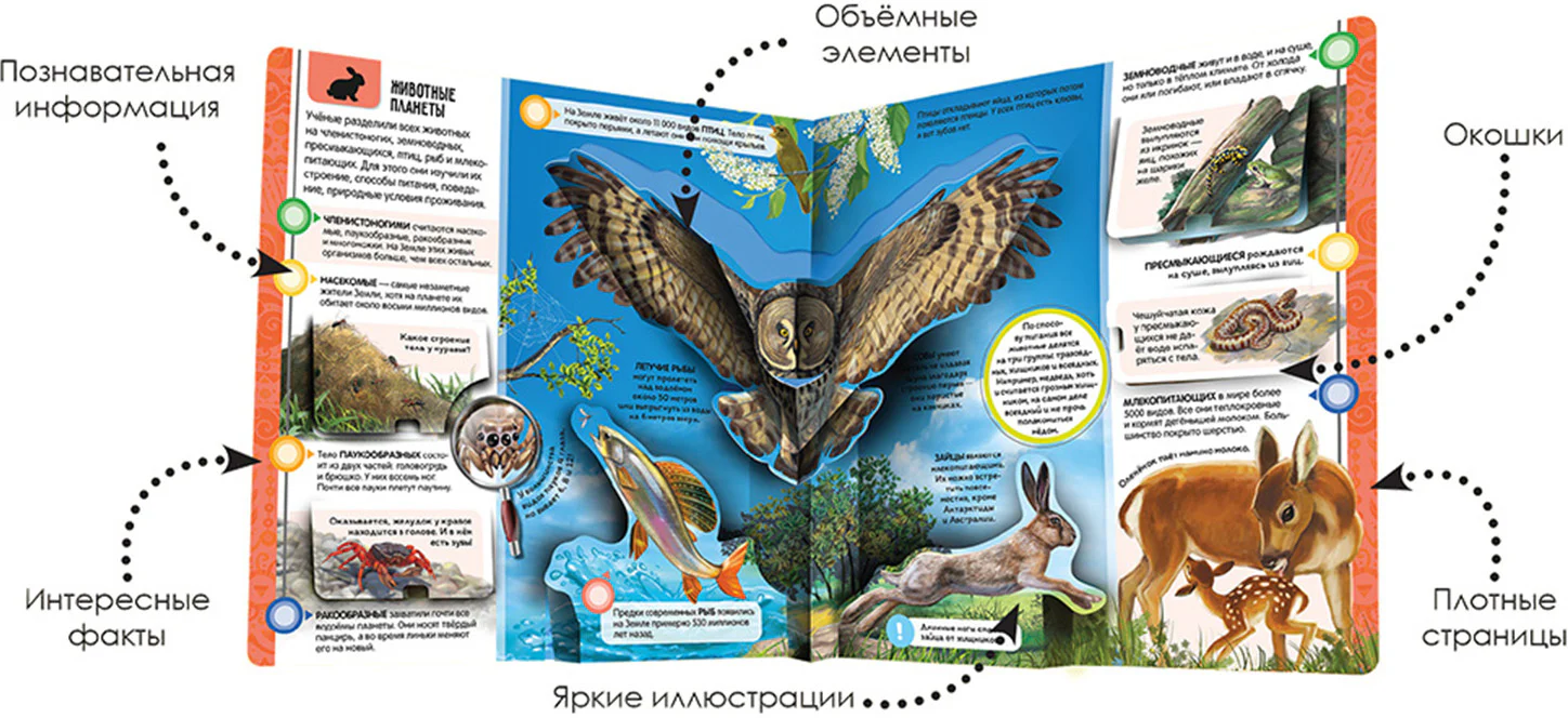 Malamalama. Энциклопедия открытий "Планета Земля" - Image 2