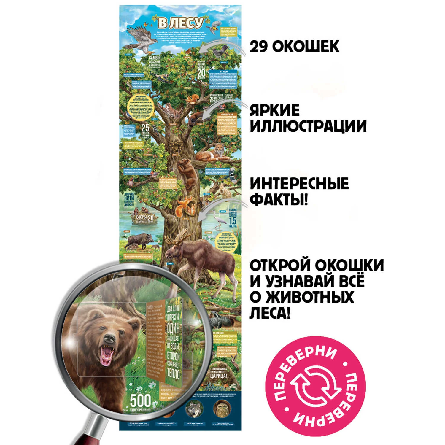 Malamalama. Плакат с окошками "Секреты леса" 29 окошек - Image 3